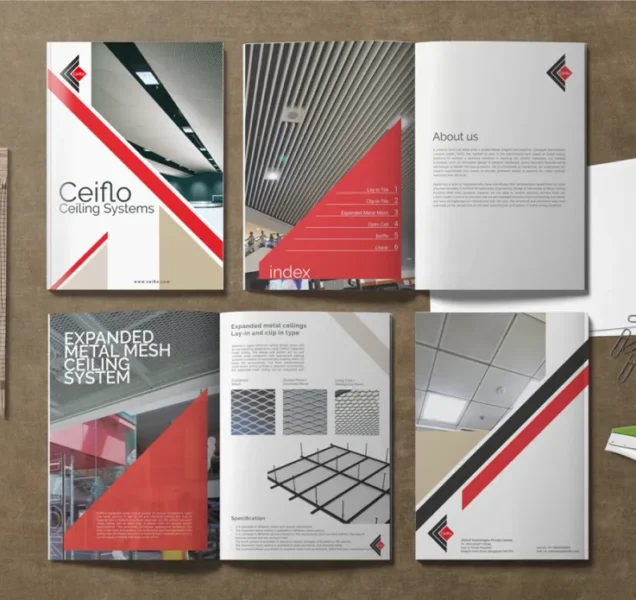 creative-visual-identity